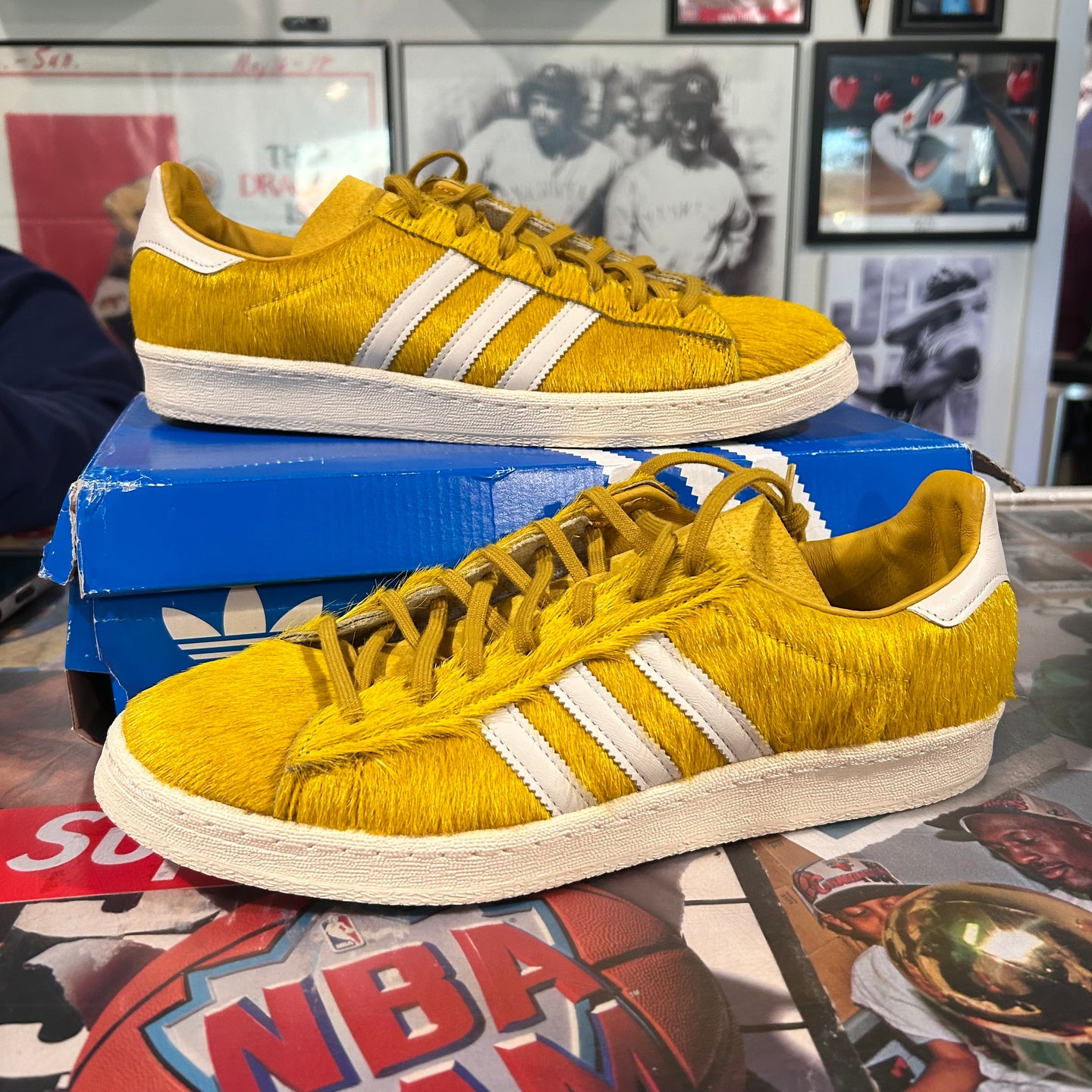 Adidas campus hairy