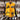 Lakers Varsity Jacket
