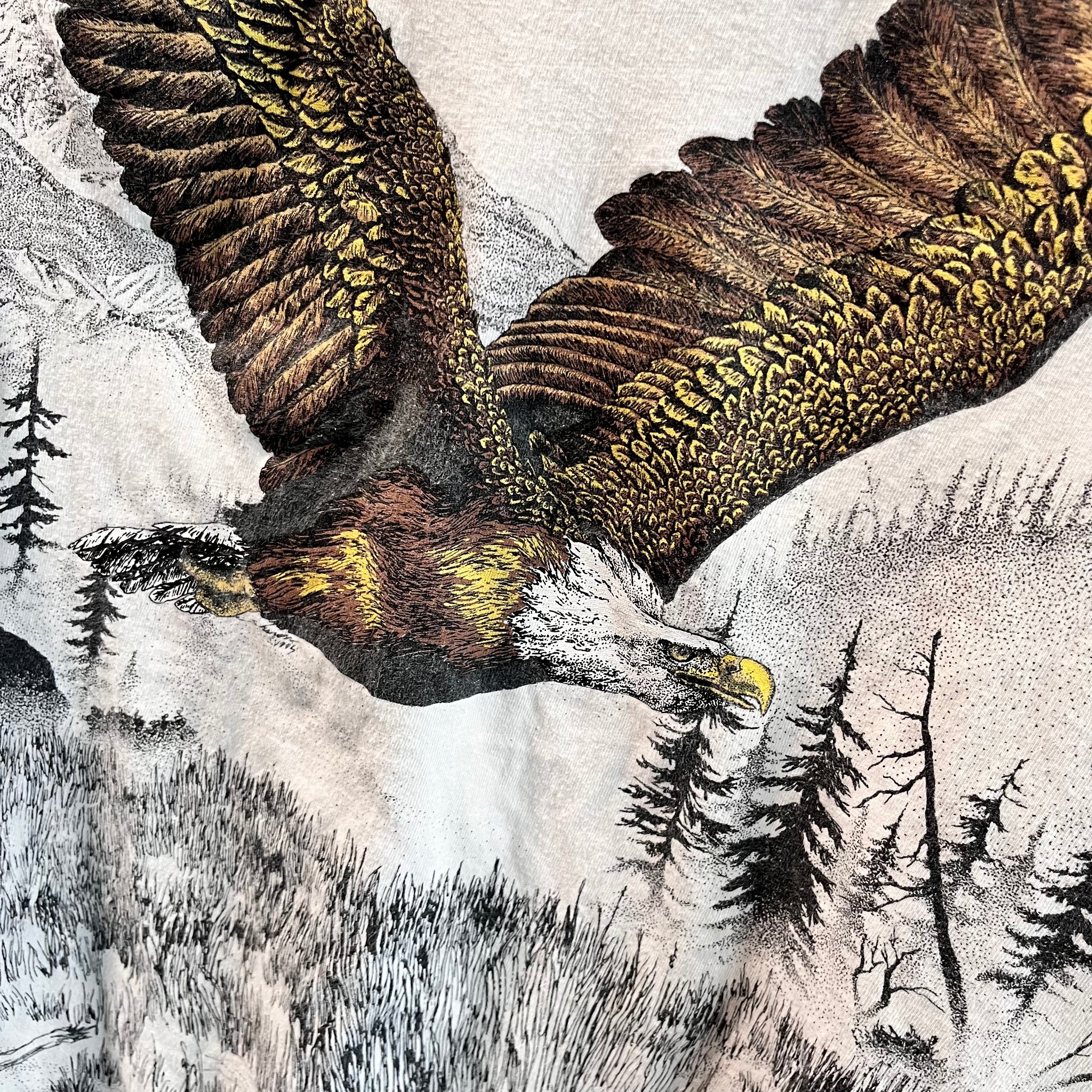 1994 Eagle over Mountain T-shirt