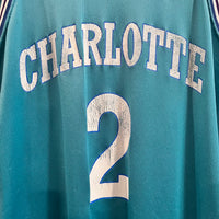 1990s Champion Larry Johnson Charlotte Hornets Basketball Jersey